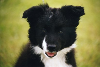 cay2monthsold3.jpg
