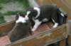 dayaskyday29_small.jpg