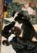 cyouspupsday30spicespupsday54withyuppie4_small.jpg