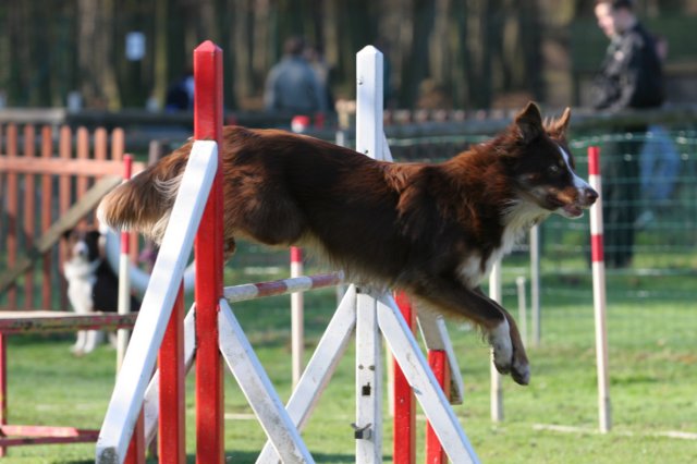 echo1yearand4monthsold11.jpg