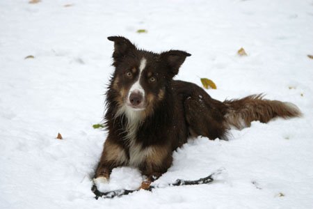 echo1yearand8monthsold.jpg
