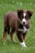 echo212monthsold_small.jpg