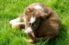 echo2monthsold2_small.jpg