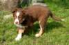 echo2monthsold_small.jpg