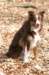 echo2years1monthold2_small.jpg