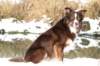 echo2yearsold2_small.jpg