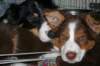 daya3monthsoldchanouk3_small.jpg