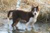daya4monthsold_small.jpg