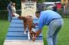 daya7monthsoldaframetraining2_small.jpg