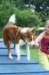 daya7monthsoldaframetraining_small.jpg