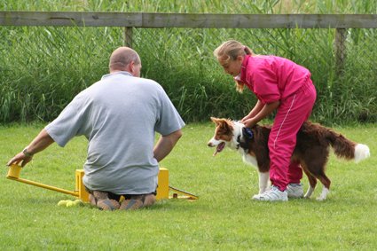 daya7monthsoldatflyballtraining.jpg