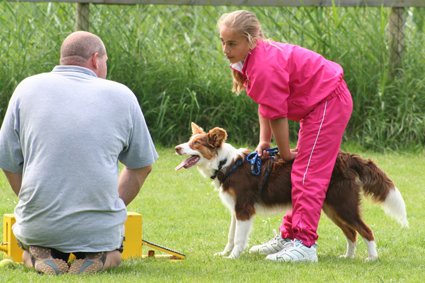 daya7monthsoldatflyballtraining2.jpg