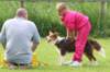 daya7monthsoldatflyballtraining2_small.jpg