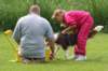 daya7monthsoldatflyballtraining3_small.jpg
