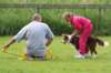 daya7monthsoldatflyballtraining_small.jpg