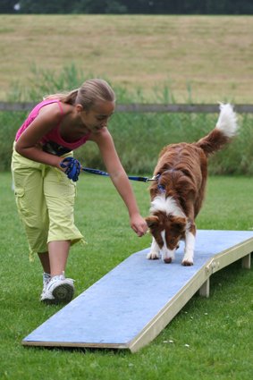 daya7monthsolddogwalktraining.jpg