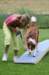 daya7monthsolddogwalktraining2_small.jpg