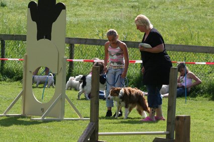 daya9monthsoldatpuppyagilitycompetition.jpg