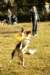 fairdaya2years3monthsoldfrisbeefun10_small.jpg