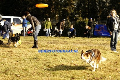 fairdaya2years3monthsoldfrisbeefun3.jpg