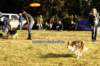 fairdaya2years3monthsoldfrisbeefun3_small.jpg