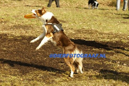 fairdaya2years3monthsoldfrisbeefun8.jpg