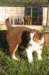 fairdayaday442_small.jpg