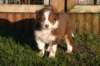 fairdayaday444_small.jpg