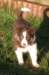 fairdayaday445_small.jpg