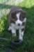fairdayaday44_small.jpg