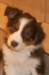 fairdayaday532_small.jpg