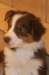 fairdayaday533_small.jpg