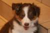 fairdayaday534_small.jpg