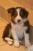 fairdayaday535_small.jpg