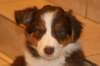 fairdayaday53_small.jpg