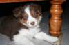 fairdayainnewhomeday532_small.jpg