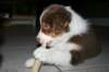 fairdayainnewhomeday533_small.jpg