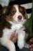 fairdayainnewhomeday53_small.jpg