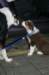 fairdayameetschanoukday53_small.jpg