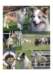 readycollage_small.jpg