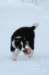 fairgame3monthsold15_small.jpg
