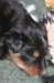 fairjoyday289_small.jpg