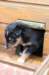 fairjoyday29_small.jpg