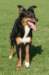 joy1yearsold14_small.jpg