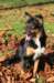 joy1yearsold2_small.jpg