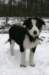 fairmatch3monthsold4_small.jpg