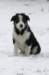 fairmatch3monthsold6_small.jpg