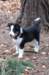 fairmatch3monthsold_small.jpg