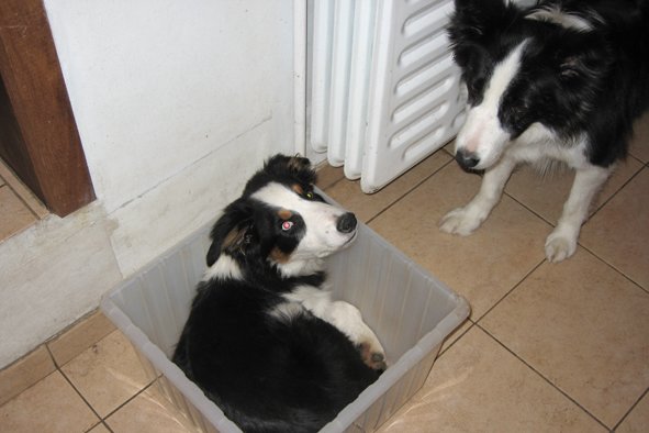 match45monthsoldyuppie.jpg