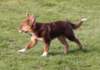 fairplay5monthsold10_small.jpg